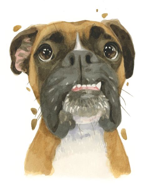 The Boxer grin is a thing of beauty. Brighten someone's day with this adorable high-quality card produced from my original painting of Benson the boxer dog. This greeting card is perfect for any occasion and guaranteed to put a smile on anyone's face! The cards come individually wrapped in cellophane and are printed on premium quality, FSC-certified 350gsm thick card, featuring a high quality print of an original watercolor painting by the artist Robert James Hull. Individual envelopes included. Boxer Painting, German Boxer, Dog Caricature, Pitbull Boxer, Boxer Dogs Art, Boxer And Baby, Cute Boxers, Weimaraner Dogs, Dog Christmas Card