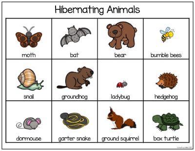 Hibernating Animals Preschool, Hibernation Preschool Theme, Hibernation Preschool Crafts, Hibernation Preschool Activities, Hibernation Crafts, Hibernation Preschool, Hibernating Animals, Hibernation Activities, Animals That Hibernate