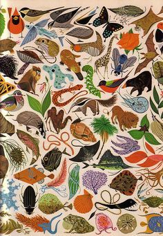 more animals. Charley Harper’s Tree of Life. Animal Illustrations, Charley Harper Illustration, Charley Harper Art, Charlie Harper, Animals And Plants, Mid Century Illustration, Charley Harper, Illustration Vintage, Scientific Illustration