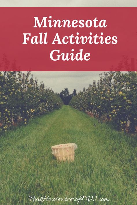 What to do this fall in Minnesota? There are loads of options both for family fun and for date night ideas. Fall can be so much fun! Check out these ideas for apple orchards, pumpkin patches, and more Halloween fun. Date Night Ideas Fall, Minnesota Fall, Florida Family Vacation, Family Vacation Tshirts, Apple Orchards, Minnesota Travel, Pumpkin Spice Lattes, Fall Dates, Fun Fall Activities