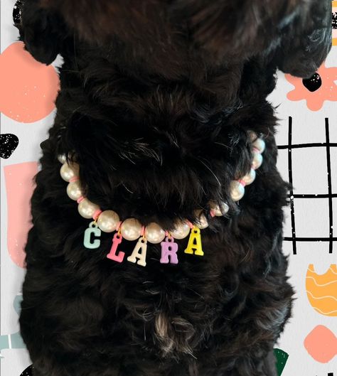 Pet Jewelry For Dog, Jewelry For Dogs To Wear, Dogs Necklace, Dog Necklace Beads, Beaded Pet Collar, Dog Pearl Necklace, Dogs Birthday, Dog Accesories, Pet Jewelry