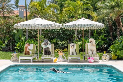 Afternoon Swim, The Colony Hotel | Gray Malin Colony Hotel, The Colony Hotel, Beach Luxury, Gray Malin, Gulf Coast Florida, Collections Photography, Photography Themes, Beverly Hills Hotel, Popular Photography