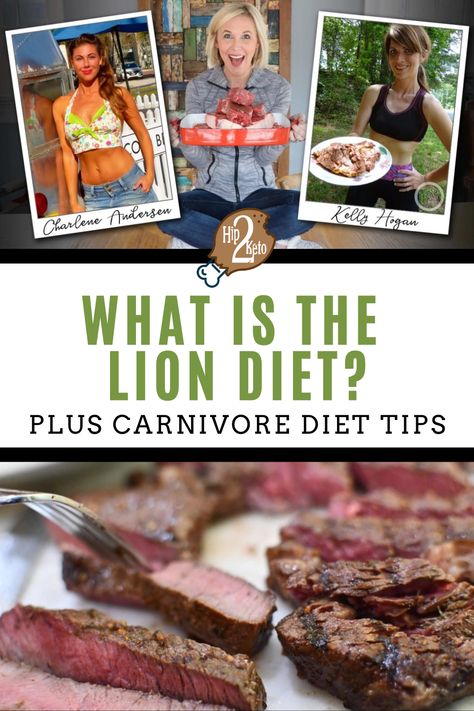 Lion Diet, Smoothie Aesthetic, Zero Carb Diet, The Carnivore Diet, Diet Results, Caveman Diet, Meat Diet, Carnivore Diet, Ketogenic Diet Meal Plan