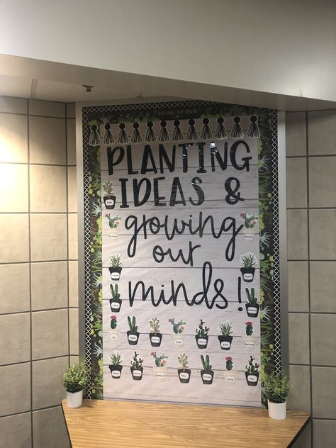 Plant, succulent, cactus theme Summer Bulletin Board Ideas, Gardening Flowers Ideas, Plant Classroom Decor, Plant Classroom, Garden Theme Classroom, Summer Bulletin Board, Plants Classroom, Ashley Mckenzie, Teaching Classroom Decor