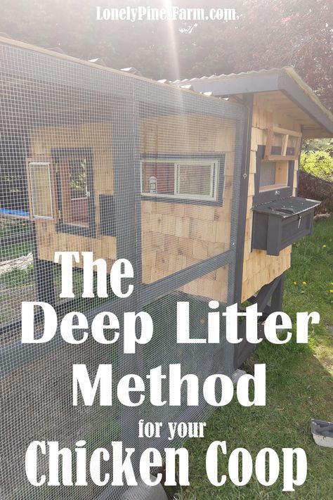 Chicken Coop Air Flow, Deep Litter Method, Cleaning Chicken Coop, Chicken Coop Litter, Chicken Coop For Cold Climates, Best Bedding For Chicken Coop, Deep Litter Method Chicken Coop, Deep Litter Chicken Coop, Chicken Coop Flooring Bedding