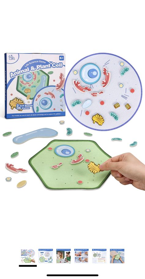 Cell Anatomy, Plant And Animal Cells, Cells Project, Science Stem, Biology Classroom, Cell Biology, Plant Cell, Plant Science, Birthday Toys