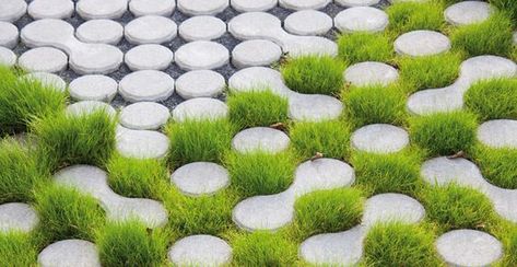 eco grass pavers - porous stones are permeable for water LUMIX pavement (made by GODELMANN): Grass Pavers, Pavement Design, Permeable Paving, Paving Pattern, Paving Design, Garden Paving, Landscape Plans, Yard Design, Landscaping Plants