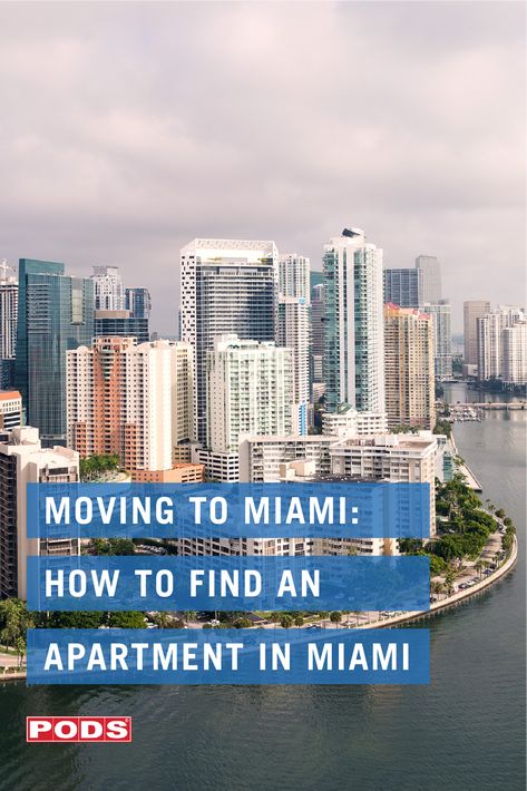 Move To Miami, Apartment In Miami, Miami Apartment Aesthetic, Condos In Miami, Miami Apartment Decor, Casa Tua Miami, Hyde Park Tampa, Miami Neighborhoods, Moving Guide