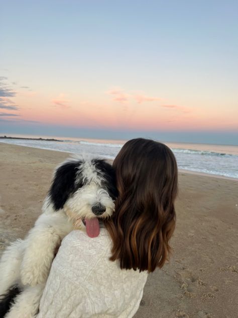 Aesthetic Pet Photos, Dogs On The Beach Photos, Dog Beach Pictures Photo Ideas, Cute Dog And Owner Pictures, Dog Vacation Pictures, Dogs On Vacation, Beach With Dog Pictures, Girl And Her Dog Aesthetic, Dog On Beach Aesthetic