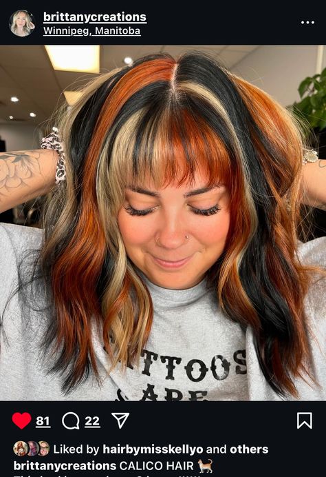 Brown And Other Color Hair, Chunky Fall Hair, Colorful Fall Hair Colors, Edgy Color Block Hair, Brown Hair With Orange Streaks, Chunky Calico Highlights, Blonde Copper And Brown Hair, Calico Hair Placement, Orange Hair With Black Tips