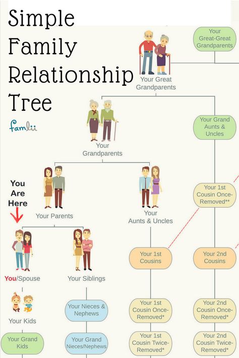 Family Relationship Chart, Cousin Relationships, Family History Organization, Family Tree Printable, Relationship Chart, Genealogy Organization, Family Tree Research, Genealogy Websites, Ancestry Family Tree