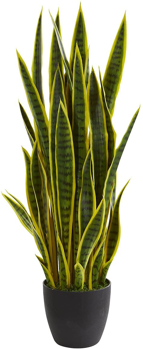 Snake In The Grass, Sansevieria Plant, Floor Plants, Silk Floral Arrangements, Silk Plants, Artificial Succulents, Outdoor Flowers, Decorative Planters, Room With Plants