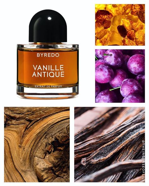 Vanille Antique, Wood Perfume, Vanilla Woods, Dream Wishlist, Perfume Scents, Perfume Lover, Message In A Bottle, Perfume Collection, Body Skin