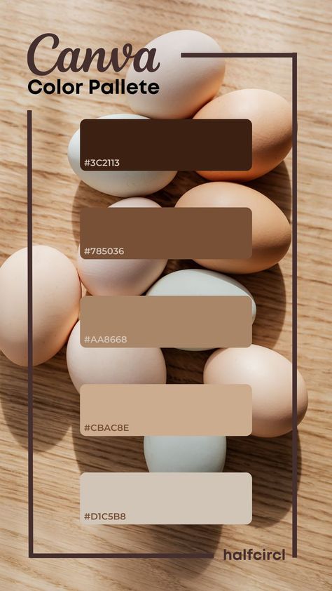 Brown Pallete Color Colour Schemes, Canva Color Palette Hex Codes, Canva Brown Palette, Aesthetic Color Palettes For Notes, Canva Colour Pallete, Canva Colors Code, Canva Color Palette Codes Brown, Vintage Color Palette Brown, Vintage Brown Color Palette