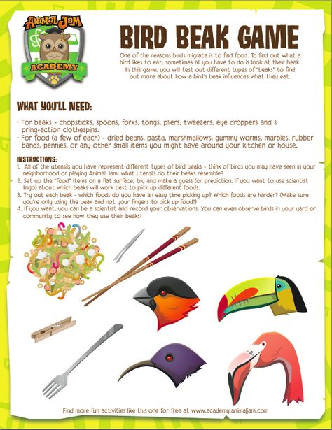 Birds use their beaks in all kinds of ways! Did you know that some toucans have a beak that is larger than their body? Explore bird beaks with this fun and free download from Animal Jam Academy! Have fun and PLAY WILD! Animal Science Experiments, Adaptations Activities, Types Of Birds, Science Camp, Bird Beaks, Animal Adaptations, Nature School, 4th Grade Science, Animal Science