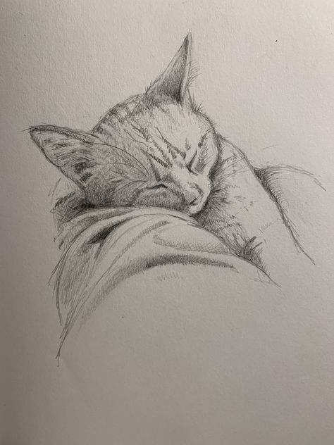 Cute Cat Sketches Pencil, Cat Pencil Drawings, Animals Sketches Pencil, Scatch Book Ideas, Cat Sketch Pencil, Draw Cat Face, Pencil Cat Drawing, Scatch Drawing, Cat Drawing Pencil