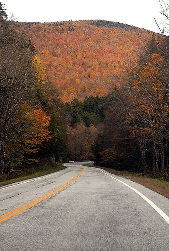 Appalachian Town Aesthetic, Upstate New York Aesthetic Fall, Upstate Ny Aesthetic, Upstate New York Aesthetic, Minneapolis Aesthetic, Upstate New York Fall, Upstate Ny Fall, Vermont Aesthetic, Ny Aesthetic