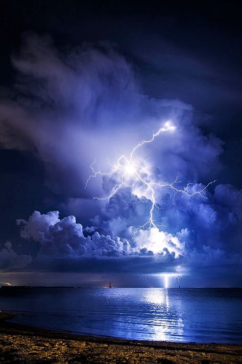 Lightning strikes over Clearwater, Florida - USA Lightning Images, Scary Ocean, Pictures Of Lightning, Lightning Photos, Blue Aesthetics, Lightning Cloud, Lightning Photography, Purple Lightning, Storm Photography