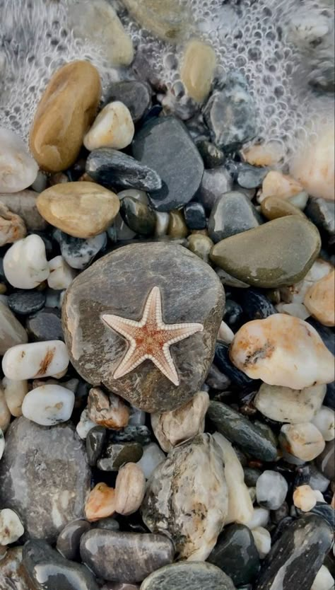 Beach Wallpaper Aesthetic, Rocky Beach, Shells Beach, Wallpaper Ipad, Beach Wallpaper, Tumblr Wallpaper, Sea And Ocean, Nature Aesthetic, Sky Aesthetic