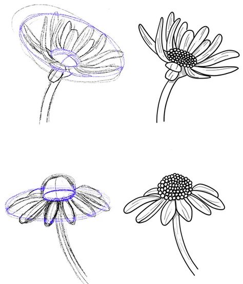 Draw a daisy flower with this mind-blowingly simple tutorial How To Draw Daisy Flowers Step By Step, How To Draw Daisies Step By Step, Drawing A Daisy, Daisy Sketch Simple, Daisy Flower Drawing Simple, Daisies Sketch, Simple Daisy Drawing, Daisy Drawing Simple, Line Drawing Daisy