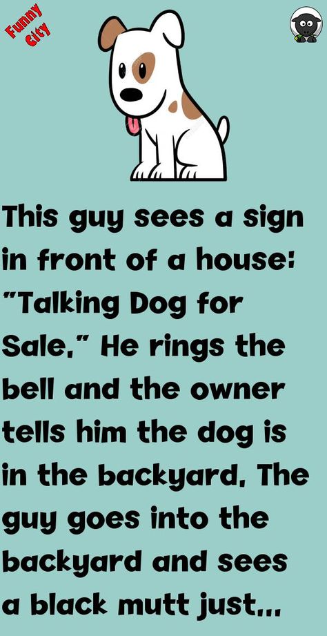 This guy sees a sign in front of a house: “Talking Dog for Sale.”He rings the bell and the owner tells him the dog is in the backyard.The guy goes into the backyard and sees a black .. #funny, #joke, #humor Dog Jokes Hilarious, Funny Talking Dog, Front Of A House, Funny Dog Signs, Dog Texts, Dog For Sale, Funny Dog Jokes, Funny Talking, Funny City