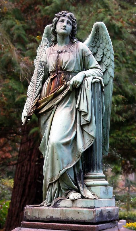 Angel Statues Sculpture, Cemetery Angels, Angel Photography, Cemetery Statues, Pokemon Movies, Angel Statue, Angel Sculpture, Angel Images, Old Cemeteries