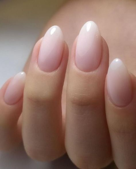 Ombré French Tip Oval, Rounded Ombre Nails, Natural Ombre Almond Nails, Ombre French Tip Nails Oval, Short Oval Ombre Acrylic Nails, French Ombre Oval Nails, Ombré Light Pink Nails, Ombre French Round Nails, Pink Fading Nails