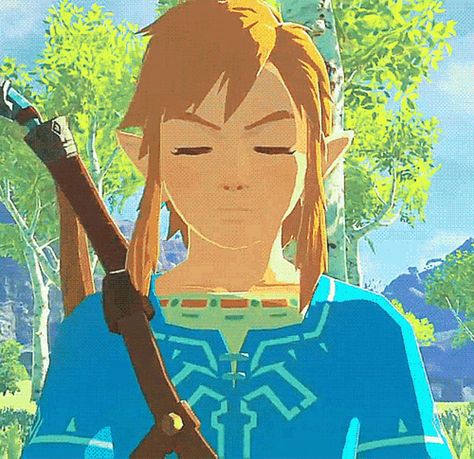 Legend Of Zelda Breath Of The Wild GIF - Legend Of Zelda Breath Of The Wild Link - Discover & Share GIFs Zelda Screenshots, Link Gif, Loz Botw, Gamer Stuff, Legend Of Zelda Memes, Princesa Zelda, Shigeru Miyamoto, Zelda Botw, Ben Drowned