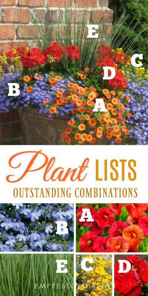 Plant lists for beautiful patio containers. Image by Proven Winners. Evergreen Herbs, Proven Winners Plants, Gemüseanbau In Kübeln, Porch Flowers, Container Garden Design, Container Gardening Flowers, Patio Planters, Proven Winners, Beautiful Patios