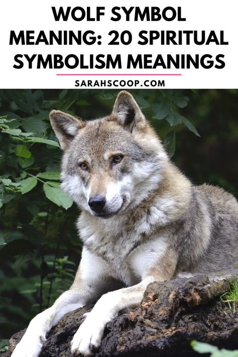 Symbol And Meaning, Wolf Symbolism, Wolf Symbol, The Wolf, Meant To Be, Spirituality