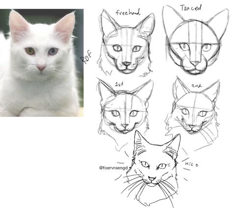 Drawing Tutorial Cat, Cat Eye Drawing, Cat Drawing Sketches, Cat Hand Drawing, Cat Drawings Simple, Drawing Ideas Cute, Cat Drawing Ideas, Cat Drawing Tutorial, Cats Art Drawing