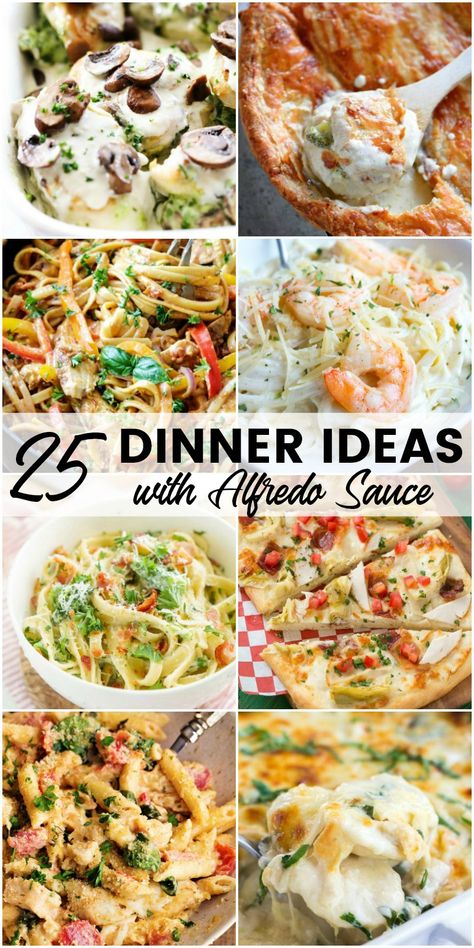 Alfredo lovers will swoon for these 25 Dinner Ideas with Alfredo Sauce!! Creamy, rich, and completely delicious, these supper recipes will make everyone smile! Dinner Recipes With Alfredo Sauce, Recipes Using Alfredo Sauce Dinners, Alfredo Sauce Ideas, Different Alfredo Recipes, Alfredo Meals Dinners, Food With Alfredo Sauce, Dinner With Alfredo Sauce, Alfredo Pasta Ideas, Alfredo Dishes Dinners