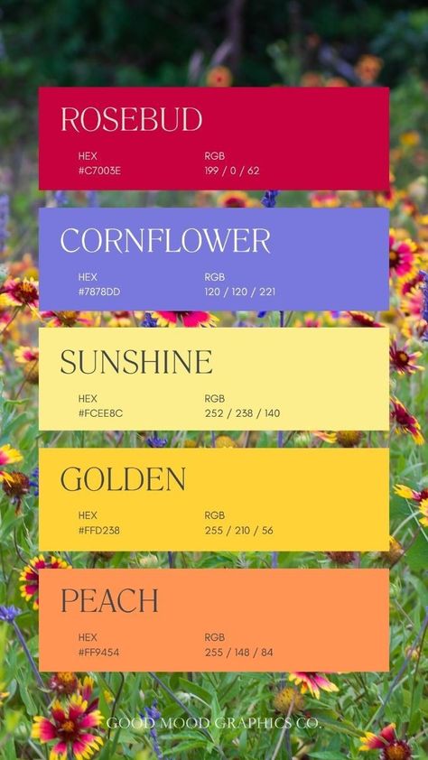 Florals Color Palette, Red Peach Color Palette, Bold Yellow Color Palette, Red Yellow Blue Wedding Color Palettes, Sunflower Yellow Color Palette, July Colour Palette, Flora Color Palette, Marigold Nursery Color Schemes, Texas Wildflower Color Palette