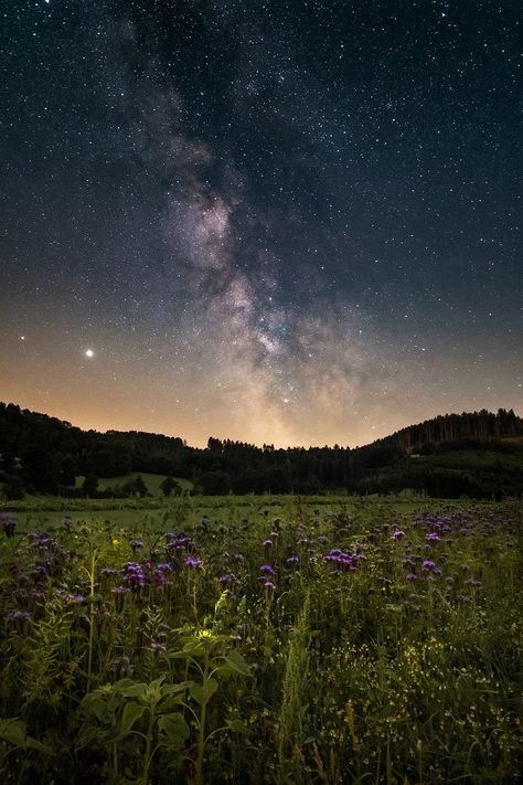 Starry Sky Flower Meadow, #Sky, #Flower, #Meadow, #Starry Rainy Sky, Earth Hour, Image Nature, The Night Sky, Space And Astronomy, Public Domain Images, Starry Sky, Sky Aesthetic, Sky Photography