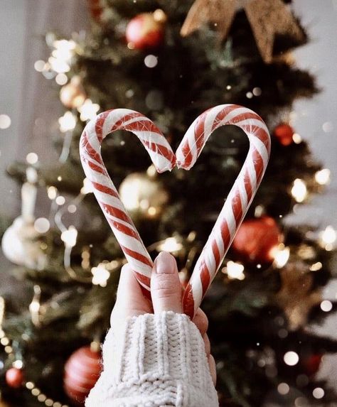 #christmas #winter #candycane #christmastree #winterpictures #christmasdecor #christmaspictures #christmasvibes #christmasideas #aesthetic #christmasaesthetic Winter Poster, Christmas Dreaming, Christmas Wallpaper Backgrounds, Christmas Aesthetic Wallpaper, Have Inspiration, Foto Tips, Christmas Feeling, Christmas Inspo, Christmas Photography