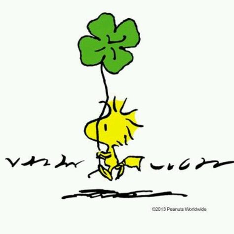 St. Patrick's Day Woodstock Peanuts, Charlie Brown Snoopy, Snoopy Images, Peanuts Cartoon, Snoopy Wallpaper, Snoopy Quotes, Snoopy Pictures, Snoop Dog, Image Chat