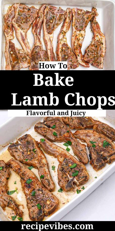 Oven Cooked Lamb Chops, Cooking Lamb Chops In The Oven, Baked Lamb Loin Chops Oven, Lollipop Lamb Chops Recipe Oven, Lamp Shoulder Chops Recipes, Lamb Rib Chops Recipes Oven, How To Prepare Lamb Chops, Oven Baked Lamb Chops Recipes, Tender Lamb Chops Recipe