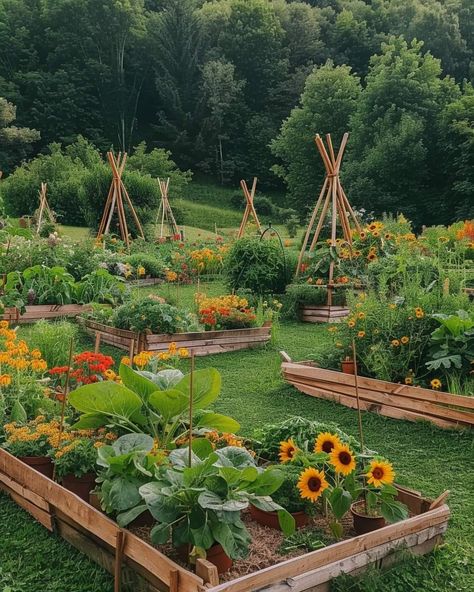 Plant Garden Aesthetic, House With Vegetable Farm, Garden Fruits And Vegetables Aesthetic, Countryside Garden Aesthetic, Acres Of Land Aesthetic, Wild Garden Aesthetic, Cute Veggie Garden, Garden Home Aesthetic, Gardening Hobby Aesthetic