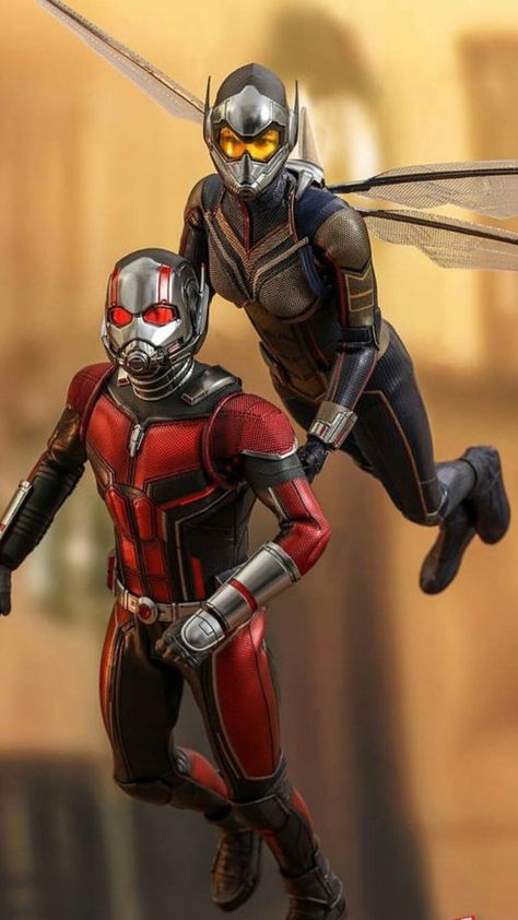 Dino Thunder, Wallpaper Marvel, Antman And The Wasp, The Wasp, Evangeline Lilly, Avengers Wallpaper, Blue Beetle, Wasp, The Avengers