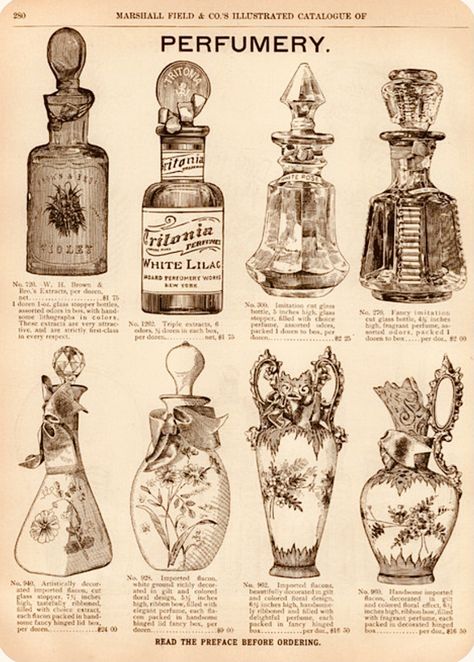 Vintage Perfume Advertisements, Vintage Perfume Poster, Vintage Perfume Tattoo, History Of Perfume, Vintage Pharmacy Aesthetic, Perfume Bottle Drawing, Victorian Drawings, Perfume Tattoo, Perfume Bottle Illustration