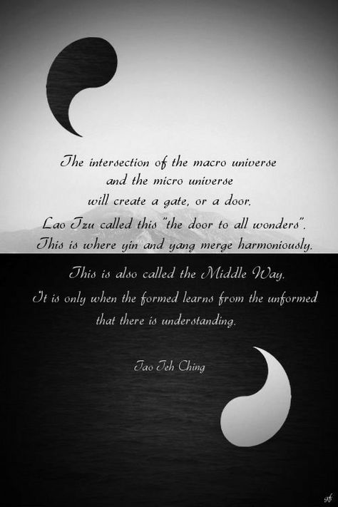 Where There Is A Will There Is A Way, Perfect Human, Tao Te Ching, Lao Tzu, Yin And Yang, Ying Yang, Tai Chi, Spiritual Awakening, Way Of Life