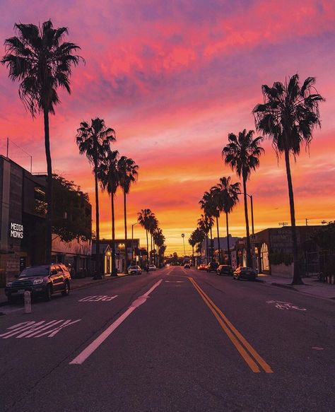 Inglewood California Aesthetic, Summer California Aesthetic, California Astethic, California Nature Aesthetic, Oakland California Aesthetic, 80s California Aesthetic, Hotel California Aesthetic, California Dreaming Aesthetic, California Sunset Aesthetic