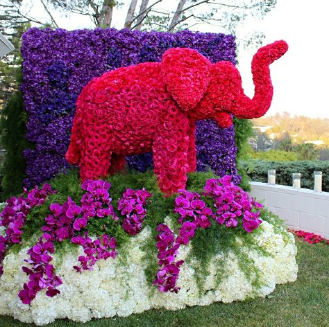 Elephant floral arrangement by Jeff Latham! Breathtaking!!!! #TrunksUp Colton Haynes, Elephant World, The Elephant In The Room, Floral Elephant, Elephant In The Room, Delta Girl, Delta Sigma Theta Sorority, Can We Talk, Wedding Planning Services