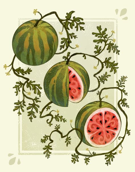 Chris 🍄🌿 COMMS OPEN on Twitter: "🍉 https://t.co/KKvY7eey9g" / Twitter Watermelon Drawing, Motorola Wallpapers, Watermelon Illustration, Watermelon Art, Food Painting, What To Draw, Fruit Pattern, 3d Art, E Design