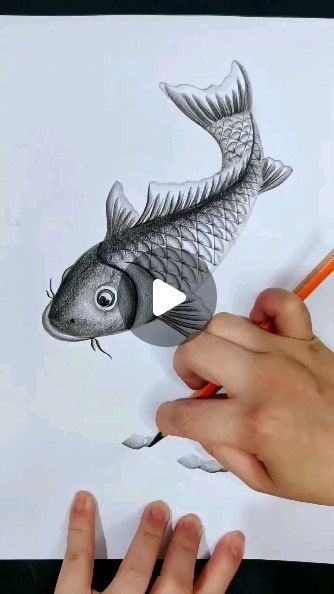 🌹 Luxury_Home_X2L 🌹 on Instagram: "ART sketch with pencil fish ❤️❤️ #art #instagood #instagram #viral #newsong" Drawings Of Fish, Sketch With Pencil, Fish Sketch, Fish Drawings, April 6, Pencil Art Drawings, Art Sketch, Fish Art, Instagram Art