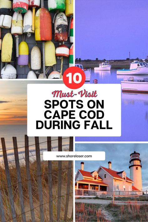 Going on a Cape Cod, Massachusetts fall trip and looking for the best things to do? Well, we've got you covered! A Cape Cod fall vacation is an awesome experience. Find what to pack, what to wear, where to go, fun things to do and more. Summer in Cape Cod is a great experience but fall is even better with fewer crowds and cooler temperatures. Fall in Cape Cod is beautiful with gorgeous houses and style. Fun decor and aesthetics in autumn exist on Cape Cod. The best fall things to do are here. Cape Cod Fall Vacation, Cape Cod Road Trip, What To Do In Cape Cod, Cape Cod October, Cape Cod Massachusetts Things To Do, Things To Do In Cape Cod, Cape Cod Fall Outfits, Cape Cod Fall, Massachusetts Fall