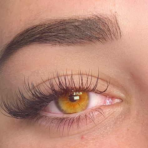 Classic eyelash extensions Eyelash Extensions Classic, Natural Fake Eyelashes, Lashes Fake Eyelashes, Beautiful Eyes Color, Eyelash Extensions Styles, Perfect Eyelashes, Amber Eyes, Natural Eyelash Extensions, Pretty Lashes