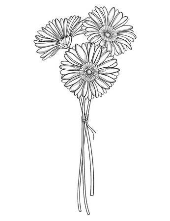 Gerber Daisies Tattoo, Gerber Daisy Tattoo Designs, Gerbera Daisy Bouquet Tattoo, Daisies Line Art, Aster Flower Bouquet Tattoo, Gerbera Daisies Tattoo, Gerbera Daisy Tattoo Designs, Gerber Daisy Bouquet Tattoo, Gerber Daisy Tattoos