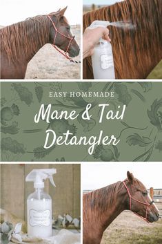 The Prairie Homestead, Prairie Homestead, Horse Braiding, Fly Spray, Horse Care Tips, Horse Mane, Horse Tail, Horse Training Tips, Hair Silky