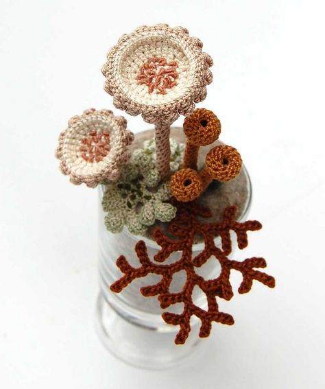 Lichen study | Flickr - Photo Sharing! Cactus En Crochet, Art Au Crochet, Mushroom Crafts, Crochet Cactus, Crochet Mushroom, Crocheted Flowers, Form Crochet, Crochet Plant, Crochet Leaves